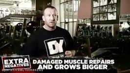 10 Essential Bodybuilding Tips  Dorian Yates Blood Guts