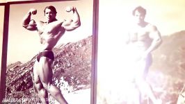 Arnold Schwarzenegger Motivation