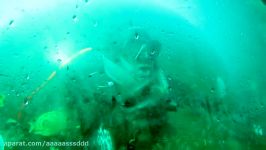 Viking diver sings underwater at White Star Quarry