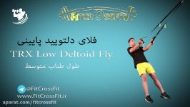 TRX Deltoid Fly