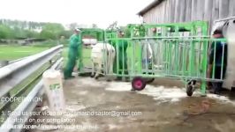 World Modern Technology Automatic Cow Shoeing and Cleaning Mega Machine Factory on Wheels