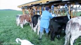 Intelligent Technology Smart Farming Automatic Cow Milking Tractor Field Machine  USA