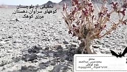 تحقیقی کوهها سنگهای بلوچستان سراوان دهستان مرزی کوهک