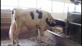 Intelligent Technology Smart Farming Cow Milking Feeding Collecting Eggs Goat Pig Chicken