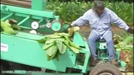 Primitive Technology vs World Amazing Modern Agriculture Progress Mega Machines Farming Equipment