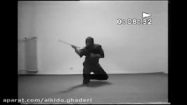 Ninja.Ghaderi sensei Iran Ninjutsu  Sai