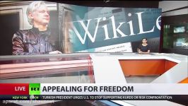 Assange ‘hypothetically’ free if arrest warrant appeal granted ruling due February 6