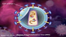 HIV AIDS Replication Animation Video