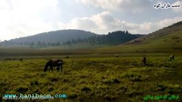 دشت ماران کوه، روستای فارسیان