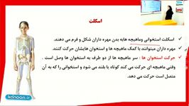 درس حرکت بدن علوم پنجم ابتدایی