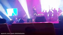 Morteza Pashaei  Best Live Concert کنسرت مرتضی پاشایی