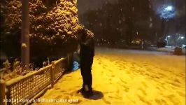 تهران، پارک لاله، برف، عماد خانکشی پور Tehran Laleh Park snowy emad khankeshipour