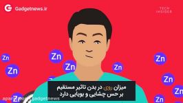 چه اتفاقی برای بدن شما می افتد اگر خام گیاهخوار شوید؟  گجت تی وی