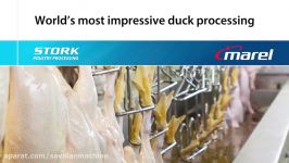 Marel Poultry dedicated duck processing solutions