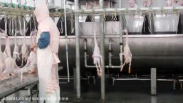 Rasti.ir خط کشتارگاه غاز GOOSE PROCESSING LINE