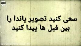 اگر به 13 تا این 15 سوال پاسخ درست بدهید شما آلبرت آینشتاین هم باهوش تر هستید.