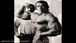 The Best Of Arnold Schwarzenegger