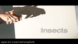 اصطلاحات انگلیسی Insect Idioms+فایل PDF