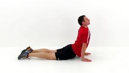 حرکات کششی برای عضلات کمر
