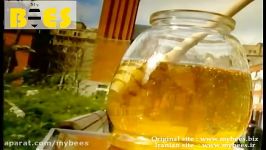 عسل لوکس مای بیز در ایران مراحل ساخت عسل طبیعی