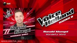 Ronald Klungel  Wonderful World The voice of Holland 20172018 The Liveshows audio