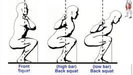 How to Train the Quadricep Femoris +9 gym exercises scientific studies