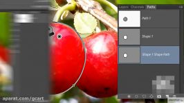 آموزش ابزار پن در فتوشاپ Pen Tool