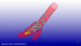 شبیه سازی عددی جریان خون در سرخرگ