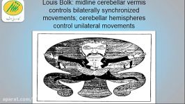 نقش مخچه در سیستمهای پردازشی ادراکی حرکتی کودک پیشیاره