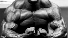 Myostatin Inhibitors in BODYBUILDING برسی