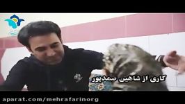 مصاحبه جالب به یادموندنی تنها دختر بچه قربانی