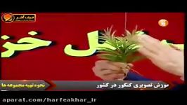 زیست کنکورموسسه حرف آخر چرخه تناوب نسل قسمت اول