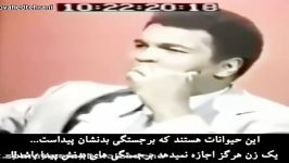 واکنش جالب محمد علی کلی به سؤالی درباره حجاب