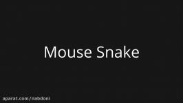 آموزش افزونه Mouse Snake ادوبی میوز