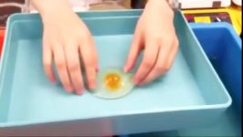 نحوه ساخت تخم مرغ چینی  ورود تخم مرغ مصنوعی به کشور