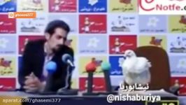 مصاحبه اختصاصی جناب مرغ بعد گران شدن تخمش