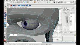 موزش مدلسازی سردر مایا 16   head plan modeling