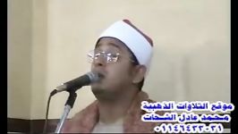 مقطع دیدنی «سوره نمل»محمود الشحات أنور