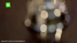 امیر قلعه نویی بهترین مربی دی ماه لیگ برتر ایران