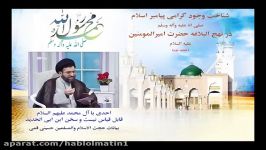 احدی آل محمد علیهم السلام قابل قیاس نیست سخن ابن ابی الحدید