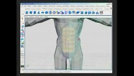 آموزش مدلسازی اناتومی بدن در مایا 4Human Anatomy  modeling