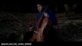 Sheku Kanneh Mason  The Swan  Sheku Kanneh Mason Inspiration