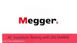 DELTA4000  AC Insulation Testing