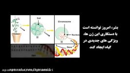 جنبش مردمی مقابله مواد غذایی تراریخته عامل سرطان