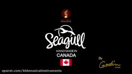 Seagul acoustic