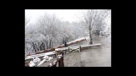 بارش نخستین برف زمستانی در گرگان در سال ۹۲