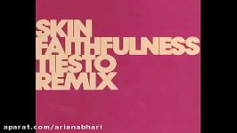 Skin  Faithfulness Tiesto Instrumental Mix