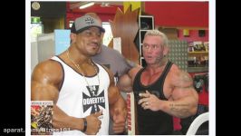 Lee Priest Vs Roelly Winklaar Best Arms Ever 