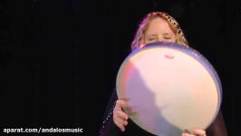 ساز کوبه ای Thinline 16  Frame drum برند Remo