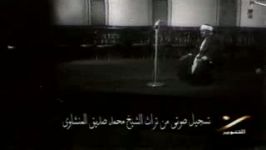 استاد منشاوی